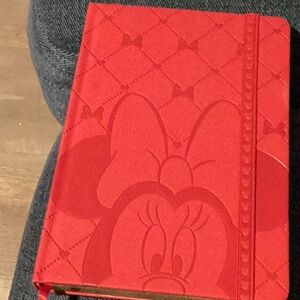 Brand new Minnie diary